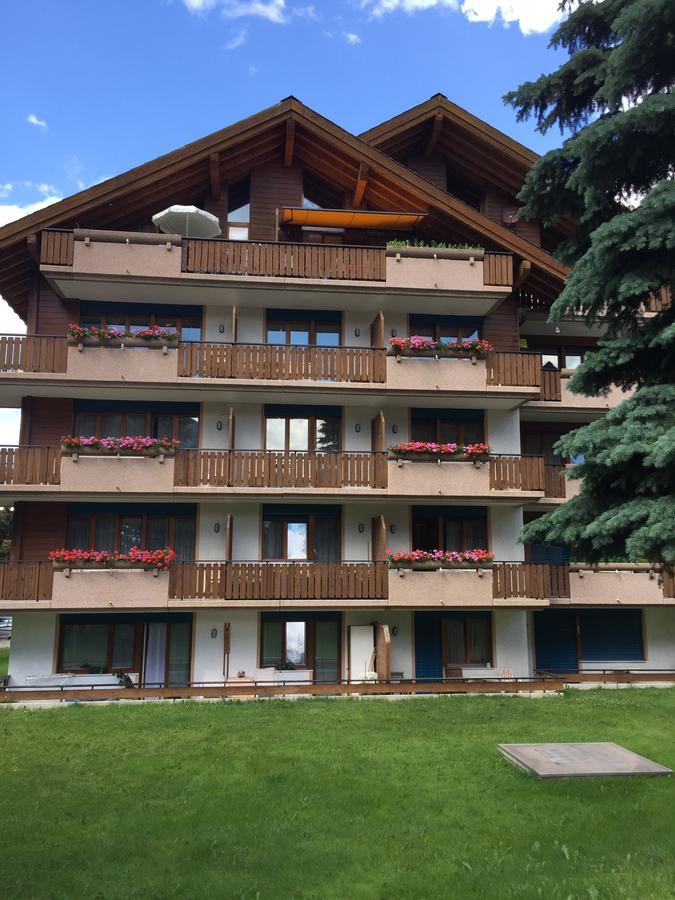 St Martin Apartments Täsch Exterior foto